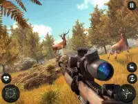 Sniper Hunting Warrior: Jungle Survival Game Screen Shot 5