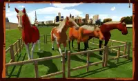 Horse Show Jumping Challenge Screen Shot 2