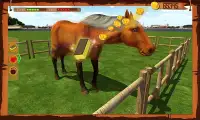 Horse Show Jumping Challenge Screen Shot 11