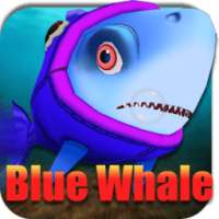 Blue Whale Shoot Game :Russian Blue Whale Suicide!