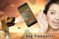 Dog Translator Simulation Screen Shot 0