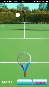 TG Tennis Screen Shot 2