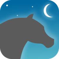 Night Spirit Run