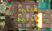 Guide Plants vs Zombies Screen Shot 8