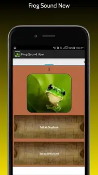 Frog Sound New Screen Shot 2