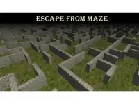 Survival in Maze Screen Shot 3