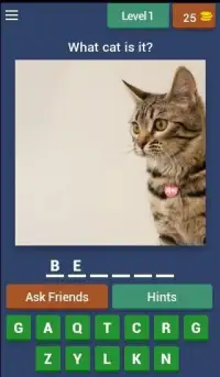 Guess The Cat Breed Quiz Screen Shot 6