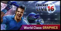 Cricket Live '16 Screen Shot 1
