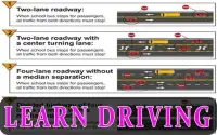 Learn Driving 2017 Screen Shot 1
