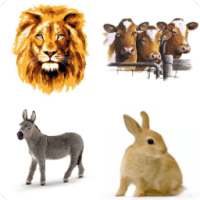 Animals Guess Game (Arabic)