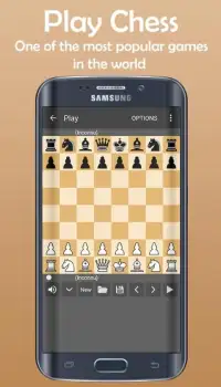 Play Chess Screen Shot 3