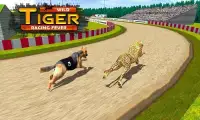 Wild Tiger Racing Fever : Animal Racing Game Screen Shot 0