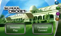 School Cricket Screen Shot 6