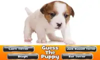 Guess The Puppy 2 Trivia Game Screen Shot 9