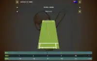 Cricket Heroes: Mobile Edition Screen Shot 0