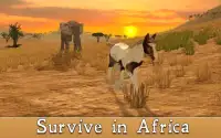 African Horse Simulator 3D Screen Shot 2