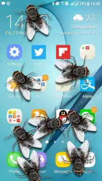 Flies in Phone Screen Prank Screen Shot 0