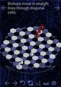 Hexagonal Chess Pass and Play Screen Shot 0