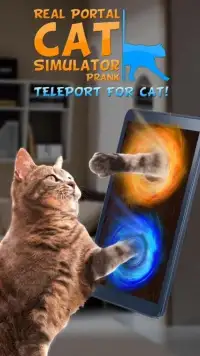 Real Portal Cat Simulator Prank Screen Shot 2