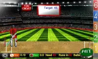 Cricket Fever Screen Shot 1