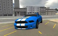 Race Car Driving 3D Screen Shot 1
