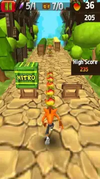 Temple Crash Jungle Run Bandicot Screen Shot 3