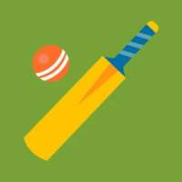 Guess Cricketers Name