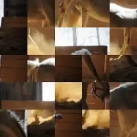 Horse Puzzle Jigsaw Game Screen Shot 1