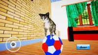 Cat Simulator : Kitten Screen Shot 7
