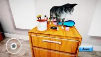 Cat Simulator : Kitten Screen Shot 1