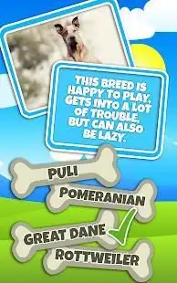 Guess The Dog Breed Quiz Questions And Answers Screen Shot 1