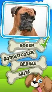 Guess The Dog Breed Quiz Questions And Answers Screen Shot 2