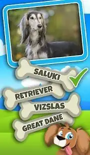 Guess The Dog Breed Quiz Questions And Answers Screen Shot 0