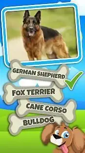 Guess The Dog Breed Quiz Questions And Answers Screen Shot 6
