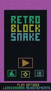 Retro Block Snake Screen Shot 15