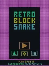 Retro Block Snake Screen Shot 7