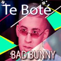 BAD BUNNY for MUSICA