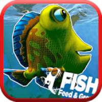 Feed fish and grow simulator