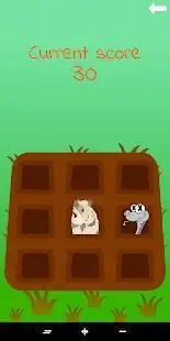 Baby Hamster - Reflex Game Screen Shot 5