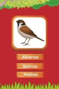 Animals, Birds and Insects name A-Z Screen Shot 3