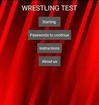 Wrestling Test Screen Shot 2