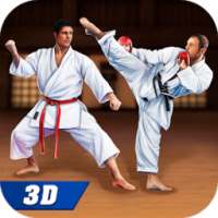 Shotokan Karate Ninja Fight Training