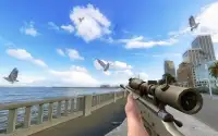 Sniper Pigeon Hunting 3D Screen Shot 0