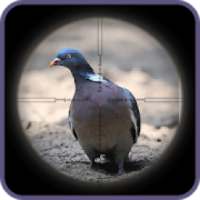 Sniper Pigeon Hunting 3D
