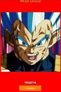 Guess the dragon ball super character Screen Shot 5