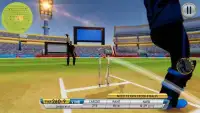 Last Batsman Cricket Screen Shot 0