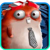 aMAZEing Hamster: a Roll a Ball Adventure