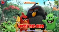 DiamondSwitch For Angry Red Bird Screen Shot 2