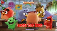 DiamondSwitch For Angry Red Bird Screen Shot 5