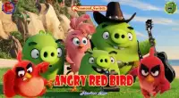 DiamondSwitch For Angry Red Bird Screen Shot 0